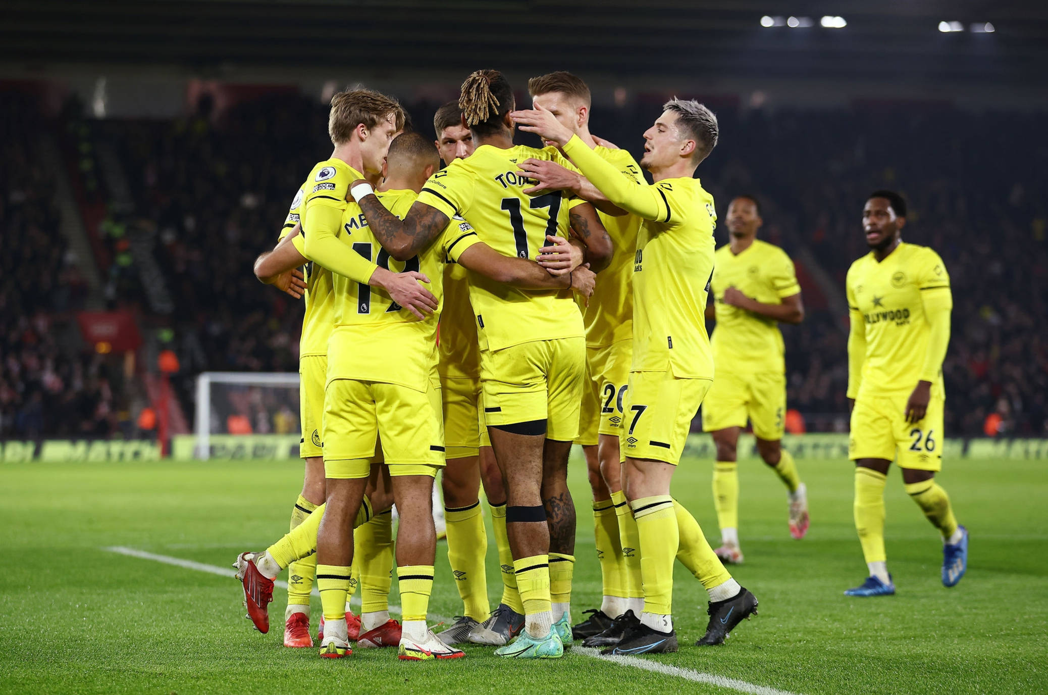 网球专家普 网球专家普